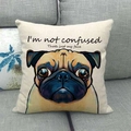 Linen pillow cover with colorful Pug illustration and I'm not confused text print - Style 2