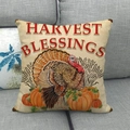 Macro detail of linen pillow cover with turkey, pumpkin, and Harvest Blessings text - Harvest Blessings Painted Turkey Style (13) / 45x45cm