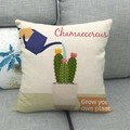 Fodera per cuscino in lino con stampa cactus e annaffiatoio su divano grigio - Stile Chamaecereus (2)