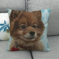 Linen pillow cover with blue polka dots and brown Pomeranian dog painting - 45x45cm / Pomeranian Blue Polka Dot (14)