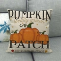 Autumn Pumpkin Patch decorative pillow case on sofa with locally grown farm design - Autumn Pumpkin Patch Style (7)