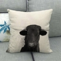Macro detail of high-quality linen cushion cover featuring a realistic black bull print - 18x18 Inch / Black Bull Portrait (5)
