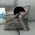 Detail of square cushion cover showing a sleeping red panda on a grey fabric sofa - Red Panda Art (16)