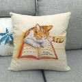 Detailed texture of linen cushion cover featuring a cat lying on a book on a sofa - Cat and Red Book Style(9)