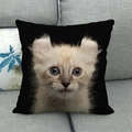 Zwarte linnen kussenhoes met schattige kattenprint op een grijze stoffen bank - Schattige Kitten American Curl (2)