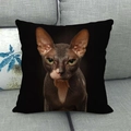 Detailopname van een vierkante zwarte linnen kussenhoes met Sphinx kattenprint op de bank - Sphynx Kat Portret (4)