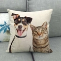 Linen pillowcase with cute painted cat and dog pets on a dark gray sofa - Cats and Dogs Group