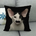Close-up of black linen pillowcase with unique realistic tuxedo cat face print on a sofa - Black and White Oriental Shorthair (5)