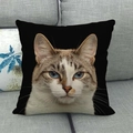 Detailed close-up of a realistic cat portrait with blue eyes on a black linen pillowcase - Calico Mix Cat Blue Eyes (6)