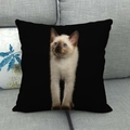 Close-up of a Siamese kitten print on a black linen pillowcase atop a grey sofa - Siamese Kitten Full Body (8)