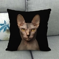 Close-up of a Sphynx cat portrait print on a black linen throw pillow on a sofa - Sphynx Cat Realistic Portrait (9)