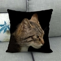 Black linen pillowcase featuring a realistic tabby cat portrait on a grey sofa - Realistic Tabby Cat Bust (10)