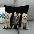 Detailed view of square linen pillowcase featuring three cute American Curl kittens on sofa - American Curl Kittens Group Photo (17)