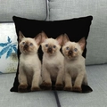 Detailed texture of linen pillowcase featuring three Siamese kittens with blue eyes - Siamese Kittens Side by Side (18)