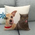Linen pillow cover featuring a cute puppy and kitten print on a grey fabric sofa - Light Brown Dog and Grey Cat