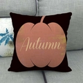 Detailed fabric texture of a black linen pillow cover with orange pumpkin and Autumn text - Black Background Pumpkin Autumn Style (13)