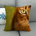 Detailed macro view of a cat face print on a linen throw pillowcase on a gray sofa - Ginger Cat Close-up (6) / 18x18 Inch
