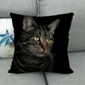Linen cushion cover with realistic tabby cat print on black background for home decor - Ultra Detailed Tabby Cat (13) / 18x18 Inch