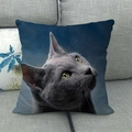 Linen cushion cover featuring a realistic gray cat print on a dark blue background - Gray Cat Profile Look Up (8) / 18x18 Inch