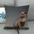 Linen cushion cover featuring a realistic brown cat portrait on grey sofa background - Brown Burmese Cat Full Body (9) / 18x18 Inch