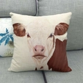 Linen square pillow cover featuring a realistic white cow portrait on a modern sofa - Realistic White Bull Head Illustration (1)