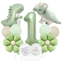 Dettagli del set di palloncini dinosauro verde salvia e margherite per il primo compleanno - Stile Numero 1