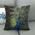 Detailed view of peacock feather digital print on a linen blend square cushion cover - Emerald Blue Peacock Opening Tail (4)