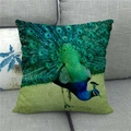 Detailed texture of peacock feather oil painting on linen square throw pillow cover - Symmetrical Feather Detail Close-up (8)