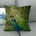 Detail of vibrant peacock feather print on textured linen cushion cover on a grey sofa - Royal Blue Standing Artistic Peacock (18)