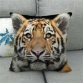 Realistic tiger face print linen pillow case on grey sofa for home decor - Tiger Cub Frontal Portrait (5)