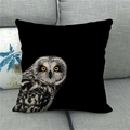 Detail of wild owl oil painting print on square linen pillowcase on grey sofa - 18x18 Inch / Black Owl (8)