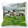 Detail of oil painting peach skin pillowcase showing black-headed sheep in rural landscape - Pastoral Sheep (6)