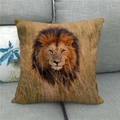 Detail of square linen pillowcase featuring a realistic wildlife lion print on a grey sofa - High-Definition Lion Photography Pattern (12)