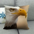 Detailed realistic bald eagle print on linen textured square decorative pillowcase - 18x18 Inch / Realistic Bald Eagle Head (6)