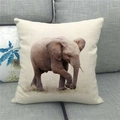 Dettaglio federa in lino con stampa elefante africano su un divano in tessuto - Elefante realistico su sfondo beige (4)