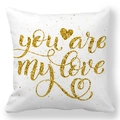 Detailed view of you are my love gold foil text on white peach skin pillowcase - Gold Powder Texture You Are My Love Style
