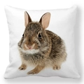 Détail de la taie d'oreiller avec un lapin brun réaliste sur tissu blanc doux - Lapin Brun Réaliste (6)