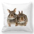 Gros plan de la housse de coussin de Pâques avec motif lapin sur tissu blanc doux - Deux Bébés Lapins Réalistes (7)