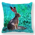 Housse de coussin Pâques avec imprimé artistique lapin et tortue sur fond sarcelle - Lièvre et Tortue de Style Réaliste (35)