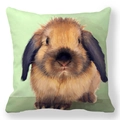 Housse de coussin Pâques en peau de pêche avec motif de lapin et œufs colorés - Lapin à Oreilles Tombantes Dessiné à la Main Style Guérison (22)