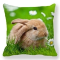 Easter bunny peach skin pillowcase with brown rabbit and daisy photography design - Brown Rabbit Photography (1)
