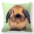 Easter peach skin pillowcase with artistic bunny and colorful eggs on white background - 18x18 Inch / Realistic Lop-eared Rabbit High-definition Painting (17)