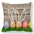 Easter peach skin pillowcase with colorful eggs and bunny ears on wood background - Vintage Wood Grain Five Easter Eggs Style (39)