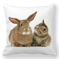 Detailed view of white peach skin pillowcase with cute bunny and kitten photo print - 18x18 Inch / Cat and Bunny Interaction (8)