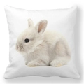 Detailed close-up of fluffy white rabbit print on soft peach skin fabric pillowcase - 18x18 Inch / Fluffy White Bunny (13)