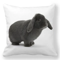 Detailed close-up of realistic bunny print on white peach skin fabric pillowcase - 18x18 Inch / Gray-Black Lop-Eared Bunny (14)