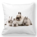Detail of soft peach skin pillowcase with four fluffy gray and beige bunnies - 18x18 Inch / Realistic Four Bunnies (16)