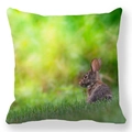 Easter peach skin pillowcase featuring a cute brown baby rabbit resting in green grass - 18x18 Inch / Brown Baby Rabbit Resting in Grass Photography (23)
