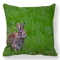 Peach skin square pillowcase with high-definition realistic hare and lawn photo print - 18x18 Inch / High-definition Hare and Lawn Print on White (27)
