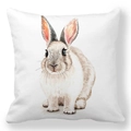 Easter peach skin pillowcase with watercolor bunny print on a white background - 18x18 Inch / Gradient Watercolor Bunny (40)